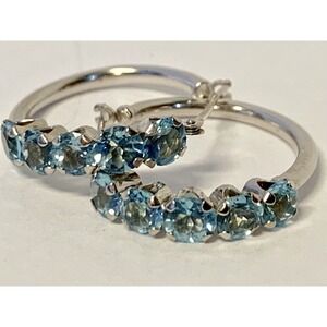 10k White Gold Natural Blue Topaz Earrings